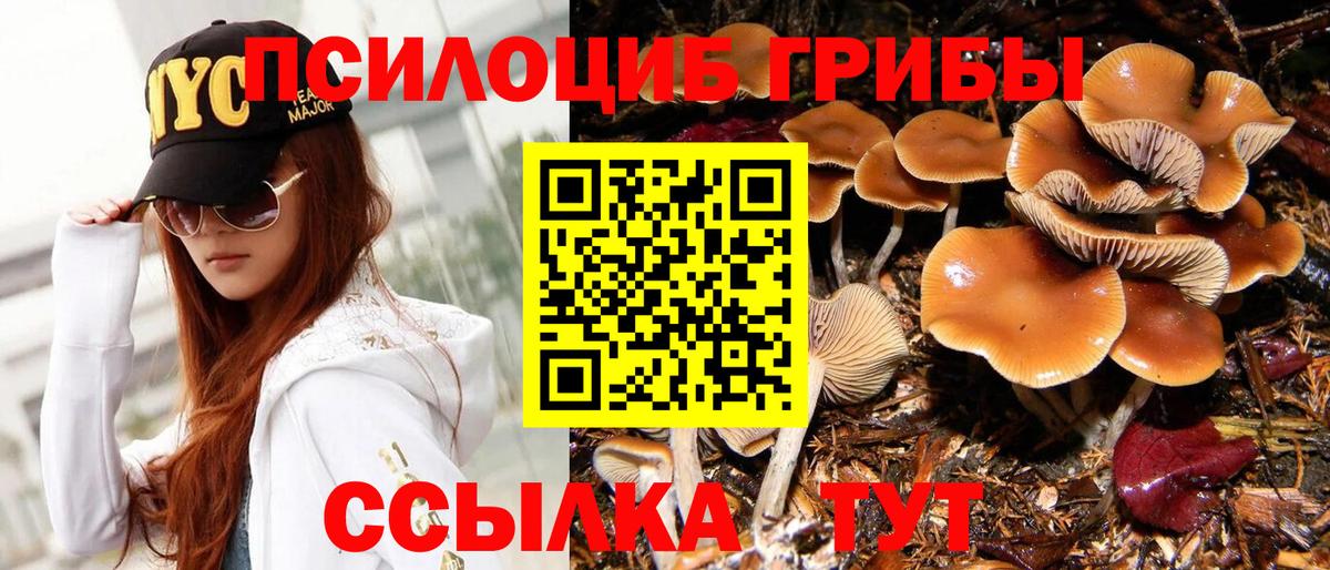 Галлюциногенные грибы GOLDEN TEACHER Мурино