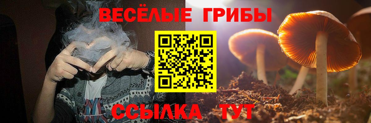 Мурино  Галлюциногенные грибы Psilocybe  Вход с VPN  Псилоцибиновые грибы ЛСД 